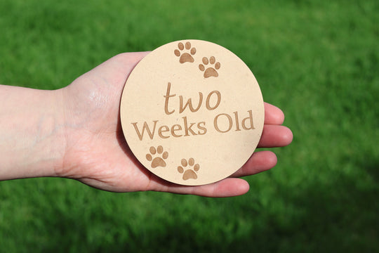 Puppy Milestone Wooden Disc Set | Breeding Milestone Set