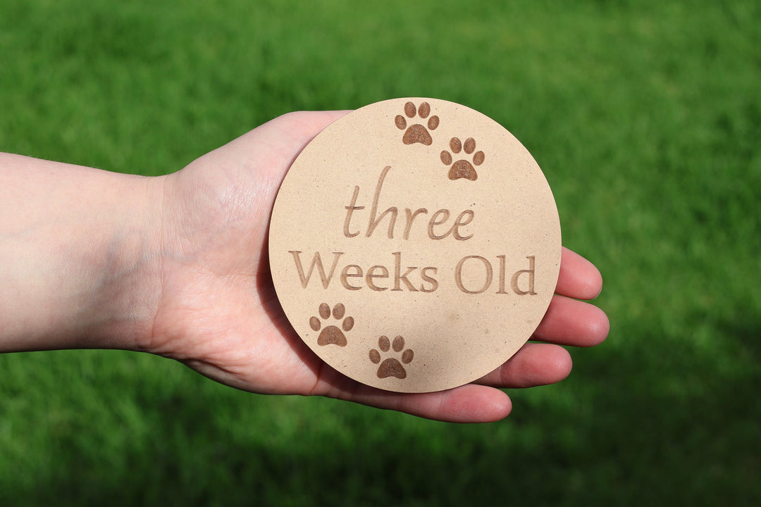 Puppy Milestone Wooden Disc Set | Breeding Milestone Set