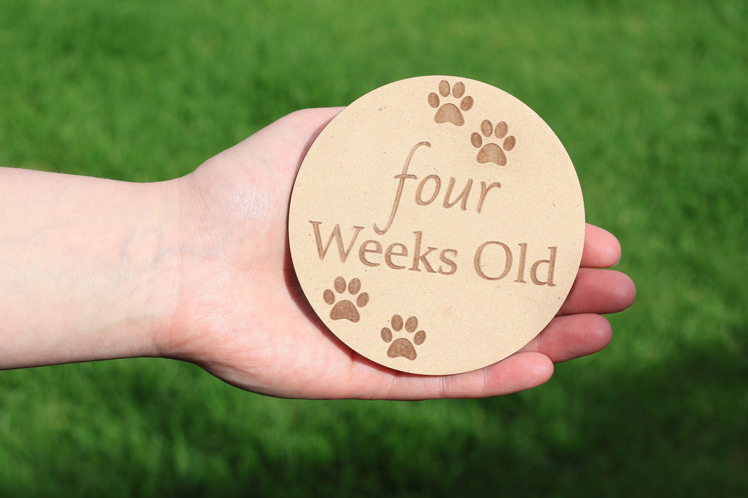 Puppy Milestone Wooden Disc Set | Breeding Milestone Set