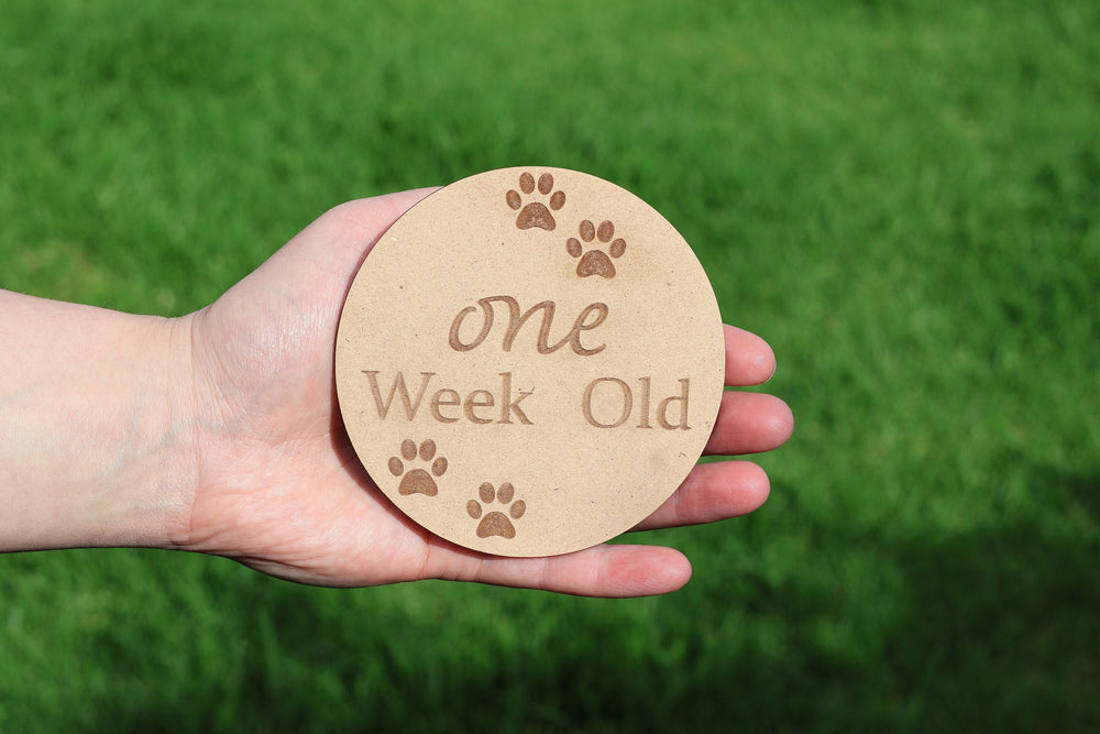 Puppy Milestone Wooden Disc Set | Breeding Milestone Set